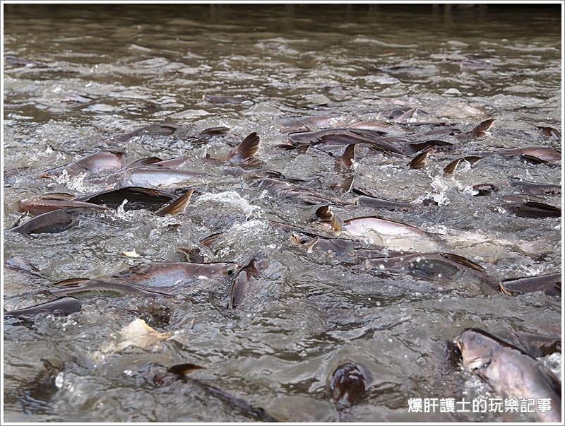 【曼谷自助】逛市集、吃海鮮、遊船餵魚好恐怖 大林江水上市場Taling Chan Floating Market - nurseilife.cc