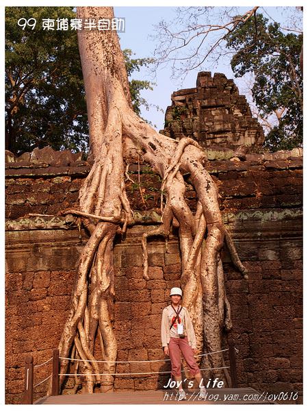 【Angkor】Ta Prohm 塔普倫寺 - nurseilife.cc