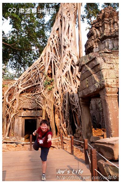 【Angkor】Ta Prohm 塔普倫寺 - nurseilife.cc