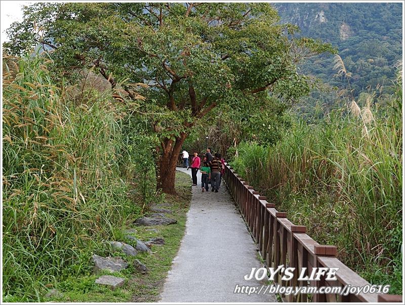 【花蓮】溫媽媽火山豆腐&泥火山 - nurseilife.cc