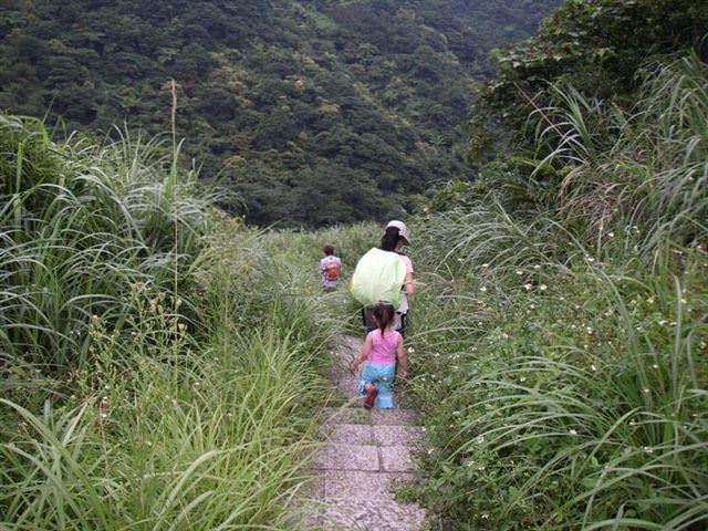 貂山古道+大粗坑步道--尋找一段淒美的傳說~ - nurseilife.cc