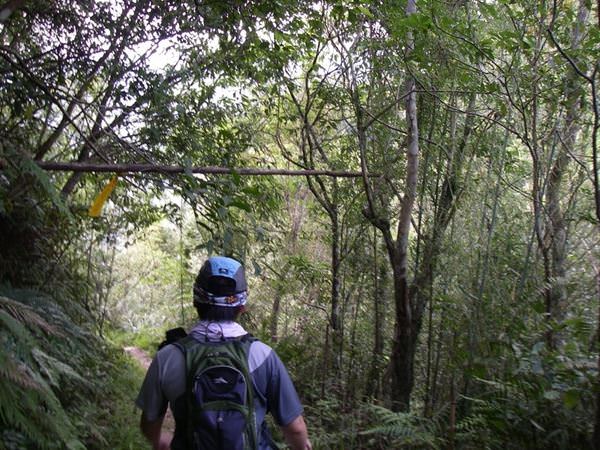 巴福越嶺--原住民娶親之路 - nurseilife.cc