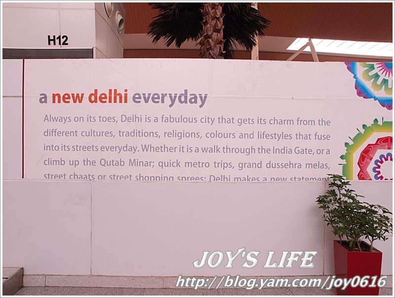 【印度】Delhi airport→Srinagar 德里前往喀什米爾囉~ - nurseilife.cc