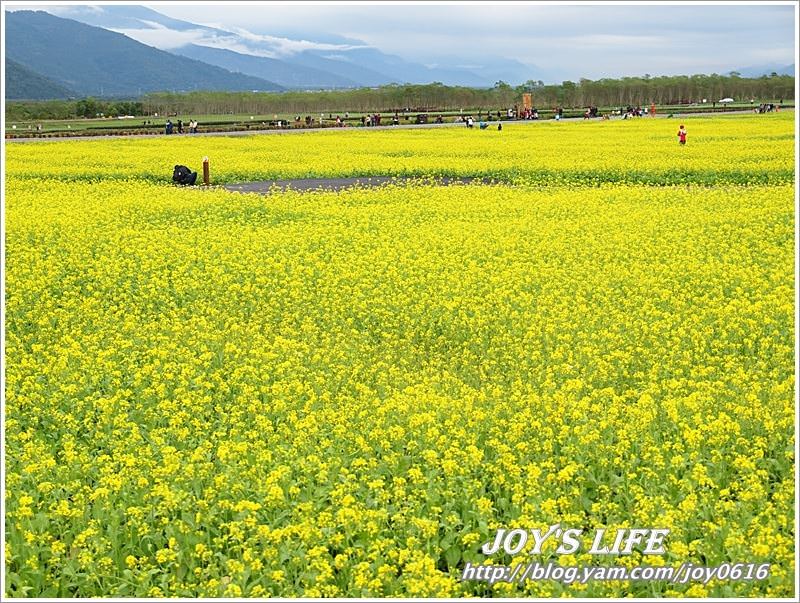 【花蓮光復】大農大富平地森林園區 - nurseilife.cc