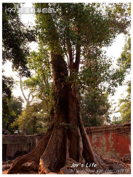 【Angkor】Ta Prohm 塔普倫寺 - nurseilife.cc