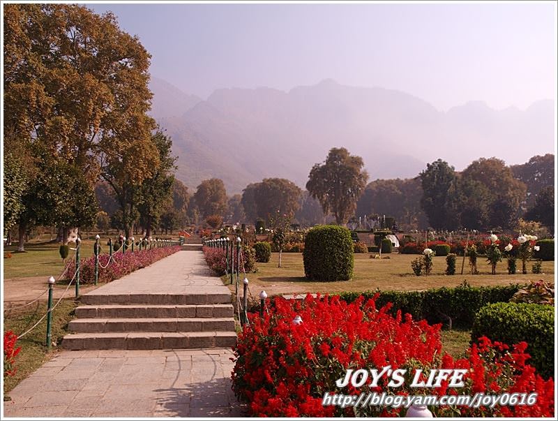 【印度】Mughal Garden Nishat 最有名的花園 - nurseilife.cc