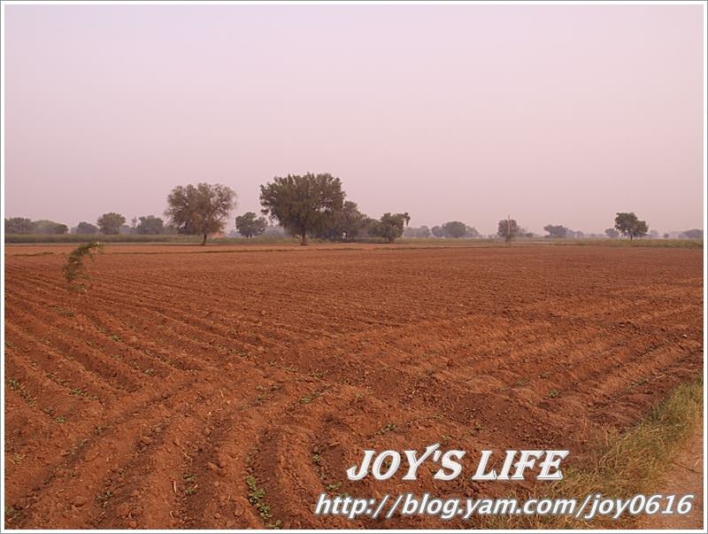 【印度】超級體驗!!Jaipur→Sanjay's Home，來去印度人家做客~ - nurseilife.cc