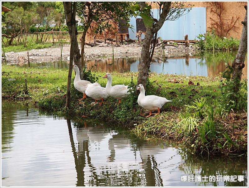 【花蓮住宿】歐式水岸景觀渡假莊園，理想大地渡假飯店。 - nurseilife.cc