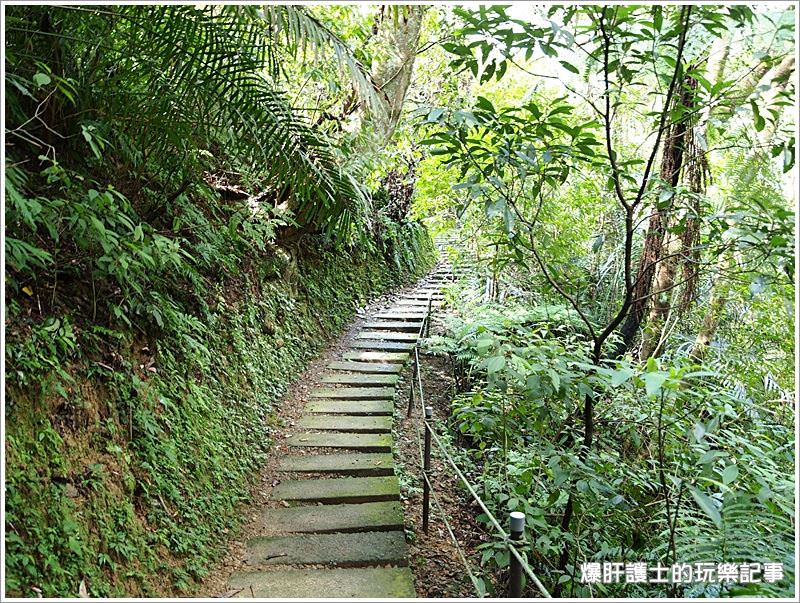 【新北住宿】空氣中滿滿的芬多精 一秒到雨林的住宿@大板根森林溫泉渡假村 - nurseilife.cc