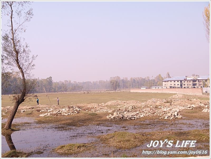 【印度】前往渡假勝地Pahalgam,途經番紅花產地喝番紅花茶~ - nurseilife.cc