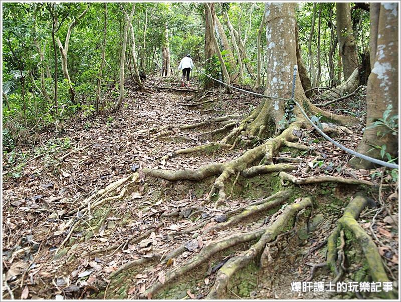 【新北住宿】空氣中滿滿的芬多精 一秒到雨林的住宿@大板根森林溫泉渡假村 - nurseilife.cc