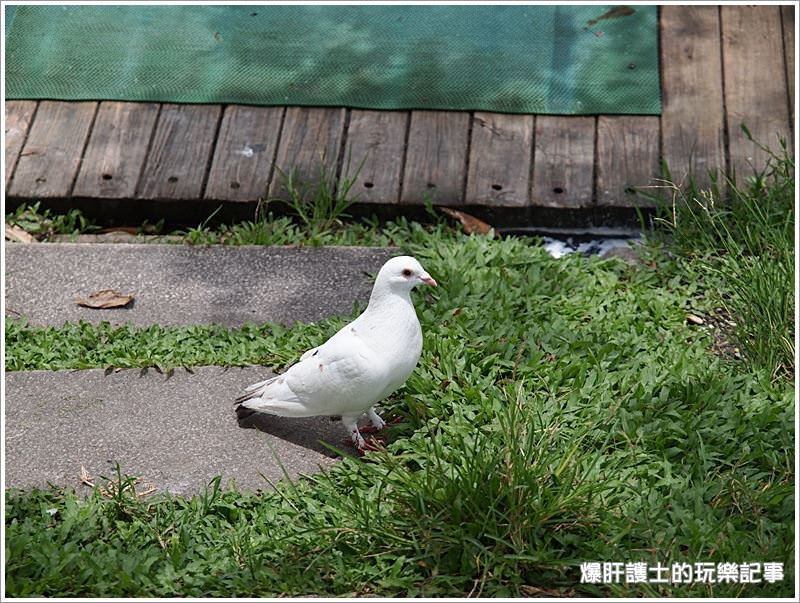 【花蓮住宿】歐式水岸景觀渡假莊園，理想大地渡假飯店。 - nurseilife.cc