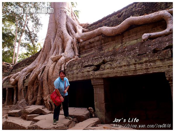 【Angkor】Ta Prohm 塔普倫寺 - nurseilife.cc