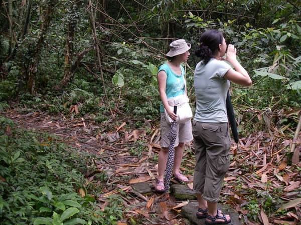 【宜蘭】仁山植物園+新寮瀑布之旅~ - nurseilife.cc