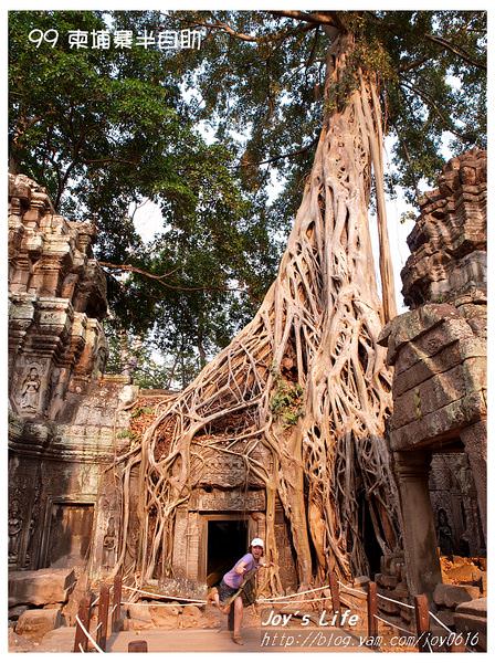 【Angkor】Ta Prohm 塔普倫寺 - nurseilife.cc