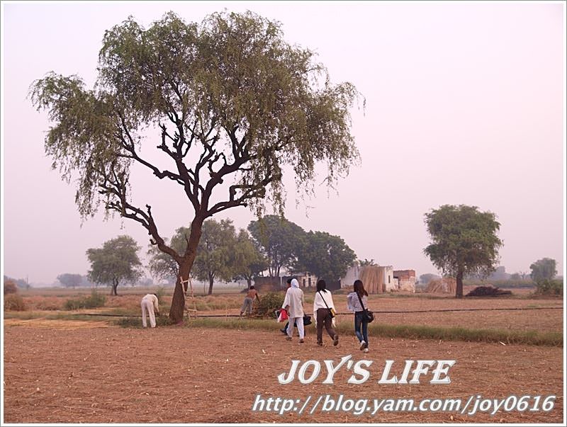 【印度】超級體驗!!Jaipur→Sanjay's Home，來去印度人家做客~ - nurseilife.cc