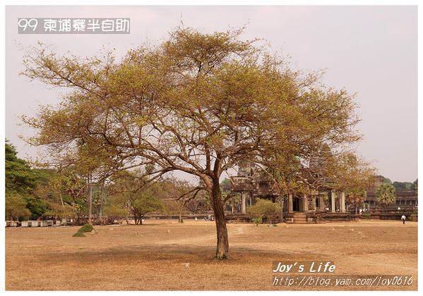 【Angkor】Angkor Wat 吳哥寺/小吳哥 - nurseilife.cc