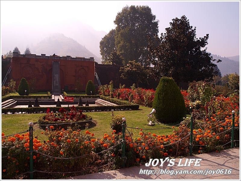 【印度】Mughal Garden Cheshmashahie - nurseilife.cc