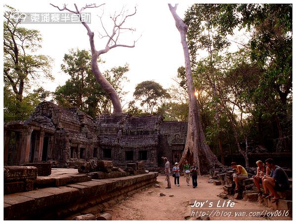 【Angkor】Ta Prohm 塔普倫寺 - nurseilife.cc