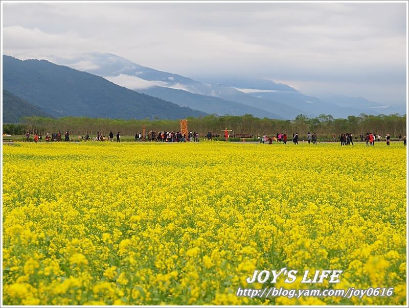 【花蓮光復】大農大富平地森林園區 - nurseilife.cc