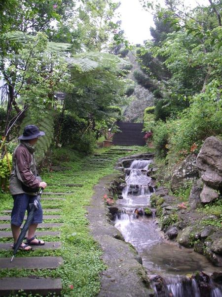 五月雪瘋桐花--栗田庄渡假莊園 - nurseilife.cc