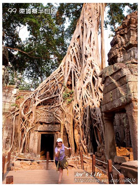 【Angkor】Ta Prohm 塔普倫寺 - nurseilife.cc