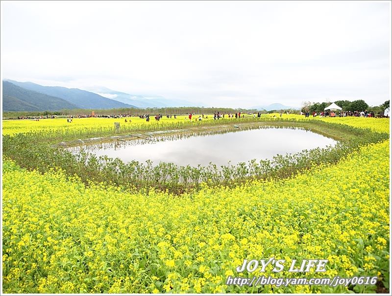 【花蓮光復】大農大富平地森林園區 - nurseilife.cc