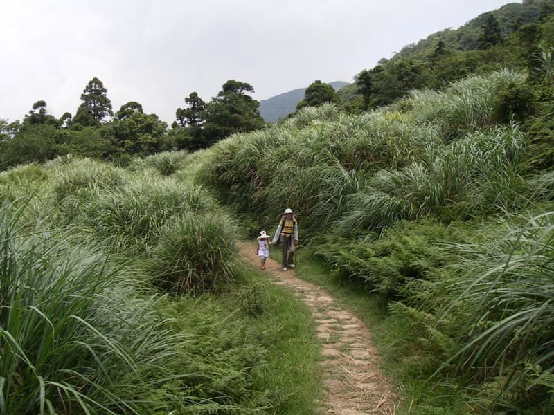 足印草山完結篇~ - nurseilife.cc