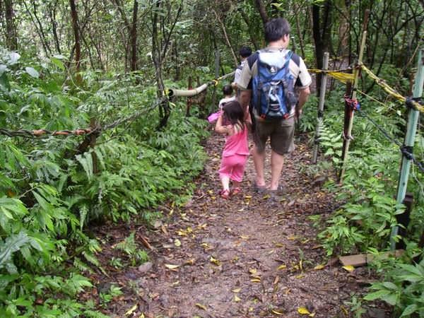 【宜蘭】仁山植物園+新寮瀑布之旅~ - nurseilife.cc