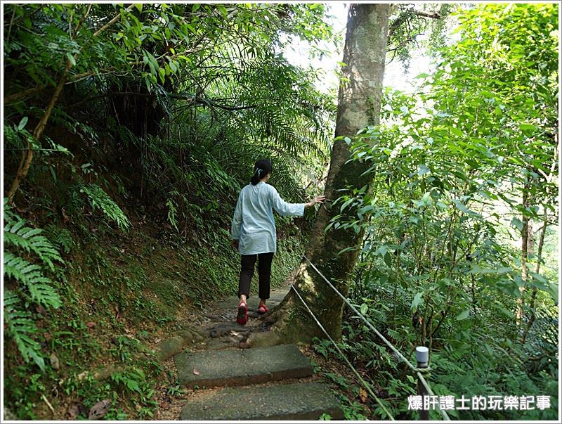 【新北住宿】空氣中滿滿的芬多精 一秒到雨林的住宿@大板根森林溫泉渡假村 - nurseilife.cc