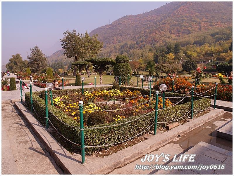 【印度】Mughal Garden Cheshmashahie - nurseilife.cc