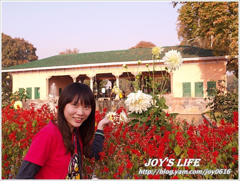 【印度】Heritage Mughal Garden Shalimar - nurseilife.cc