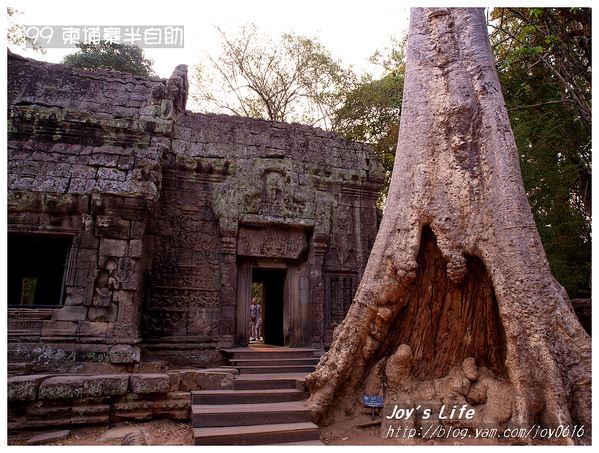 【Angkor】Ta Prohm 塔普倫寺 - nurseilife.cc