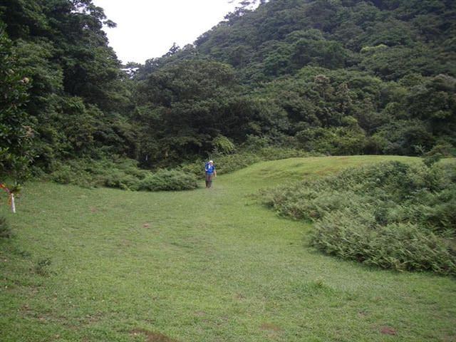 富士坪古道--超級舒服的草皮地毯 - nurseilife.cc