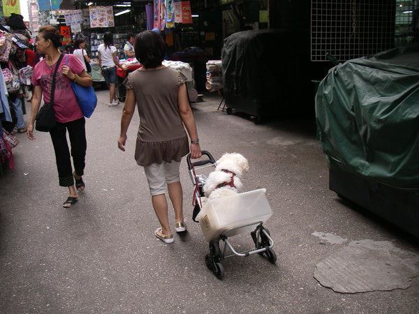 香港大暴走 Day 3-1 太子奇緣 - nurseilife.cc