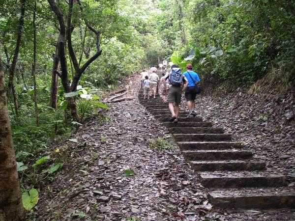 【宜蘭】仁山植物園+新寮瀑布之旅~ - nurseilife.cc