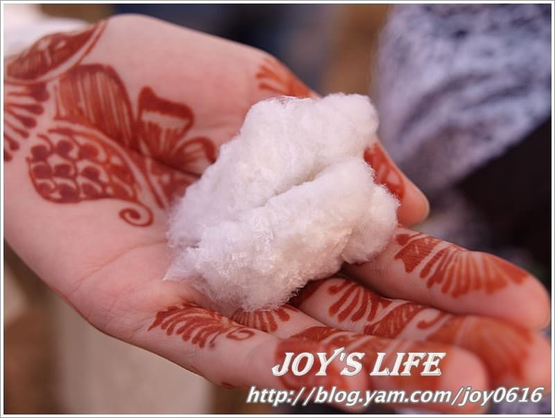 【印度】超級體驗!!Jaipur→Sanjay's Home，來去印度人家做客~ - nurseilife.cc