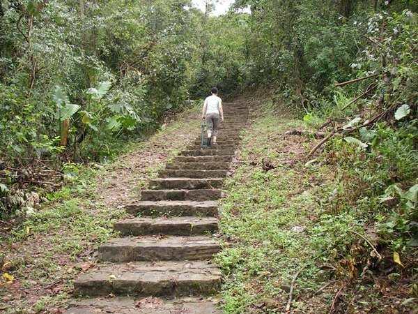 【宜蘭】仁山植物園+新寮瀑布之旅~ - nurseilife.cc