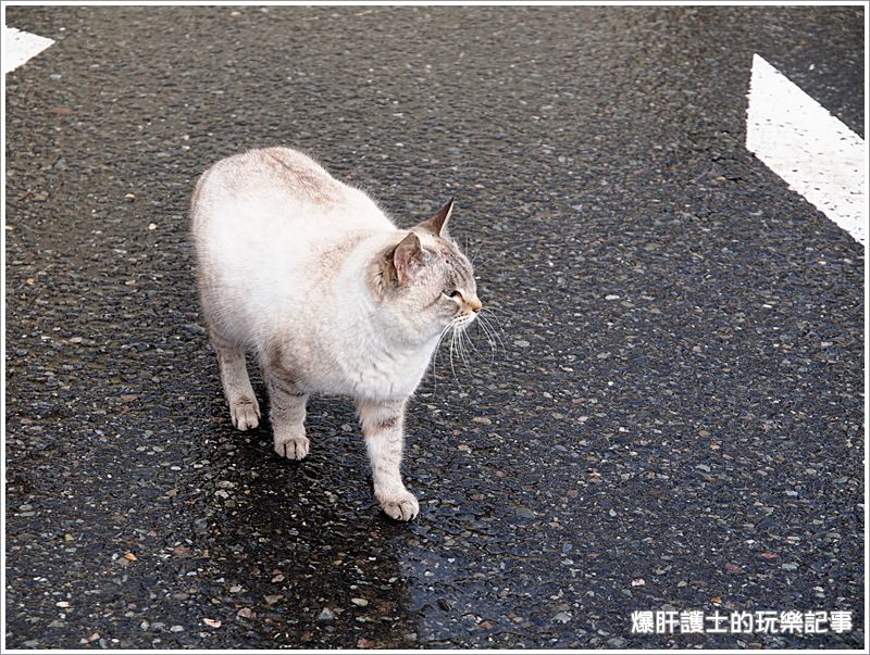 【日本】雪の鳥取砂丘 隱藏在砂洲的愛心 只有戀人才看的到的求婚密碼 - nurseilife.cc