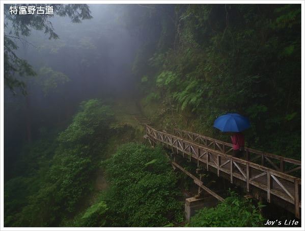 【嘉義阿里山】迷霧‧特富野古道 - nurseilife.cc