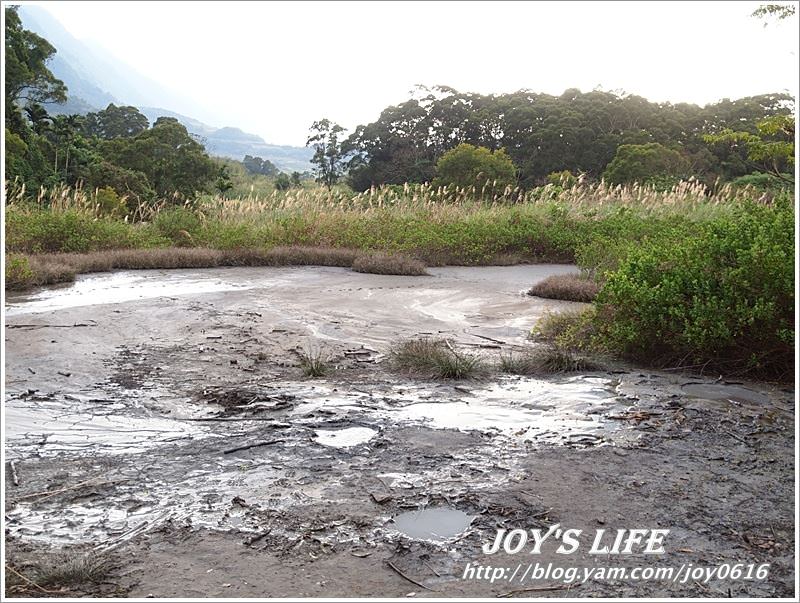 【花蓮】溫媽媽火山豆腐&泥火山 - nurseilife.cc