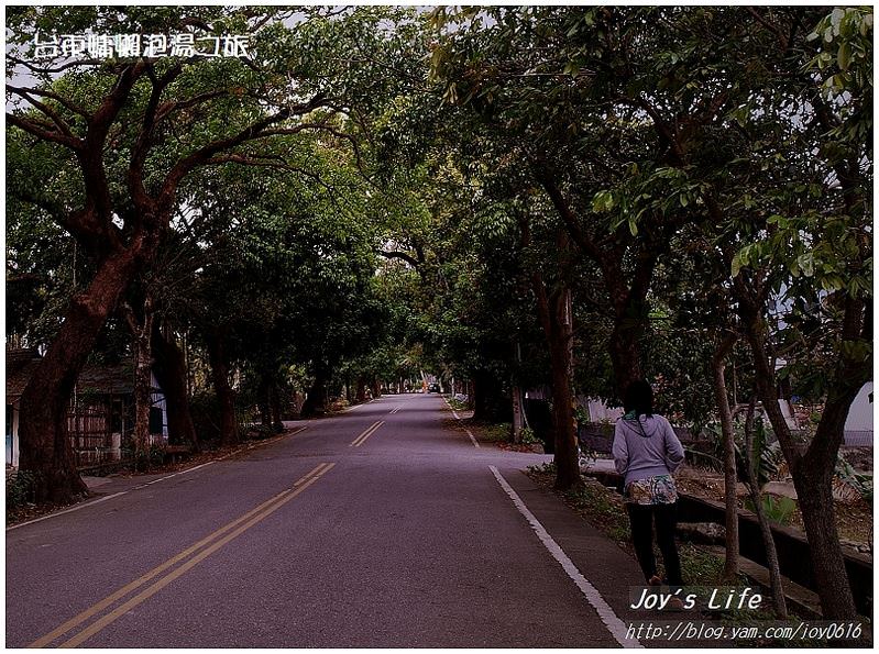 【台東鹿野】永昌綠色隧道 - nurseilife.cc