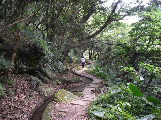 夏日避暑好去處--青山瀑布 - nurseilife.cc