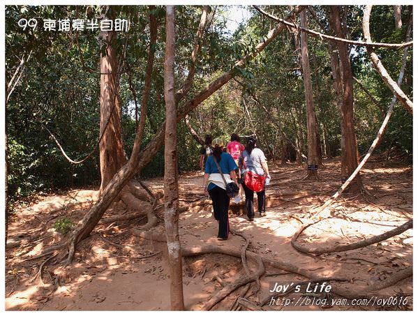 【Angkor】Kbal Spean 高布斯濱水底浮雕 - nurseilife.cc