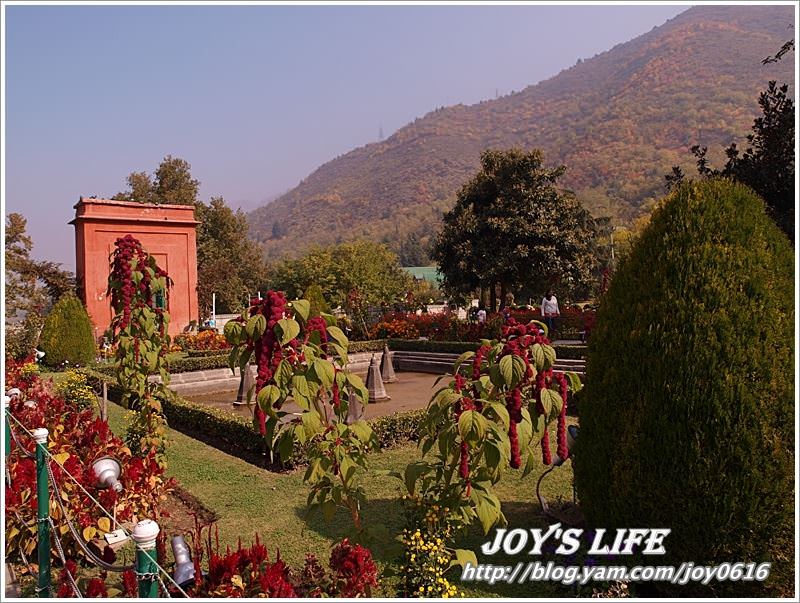 【印度】Mughal Garden Cheshmashahie - nurseilife.cc