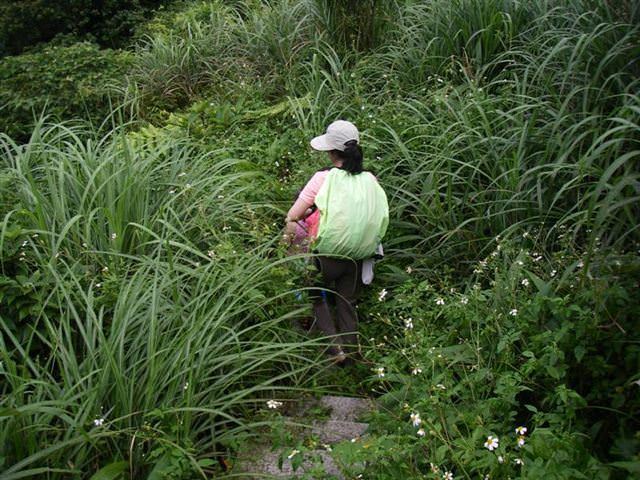 貂山古道+大粗坑步道--尋找一段淒美的傳說~ - nurseilife.cc