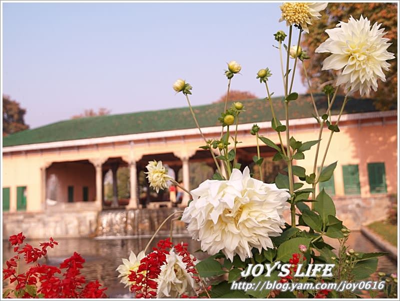 【印度】Heritage Mughal Garden Shalimar - nurseilife.cc