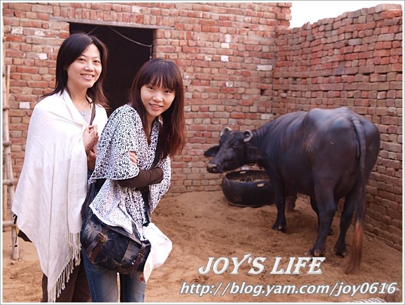 【印度】超級體驗!!Jaipur→Sanjay's Home，來去印度人家做客~ - nurseilife.cc