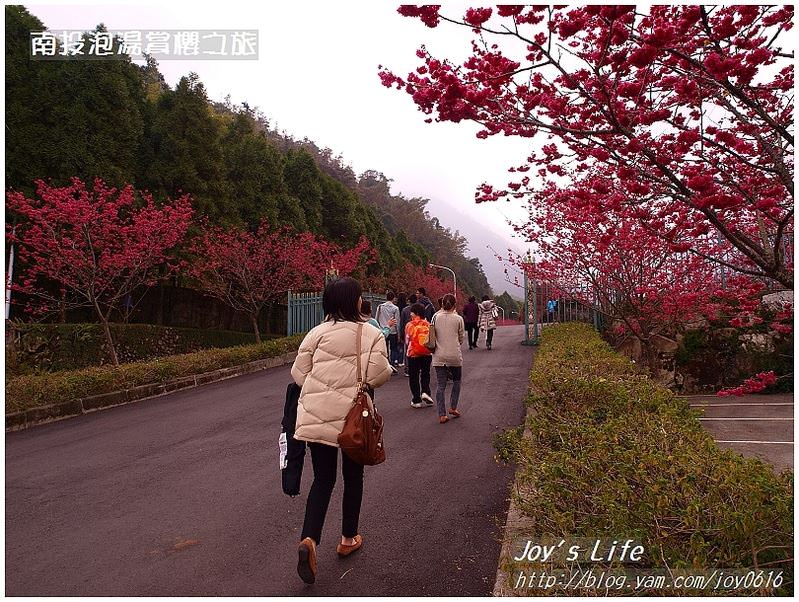 【南投】九族文化村櫻花祭 - nurseilife.cc