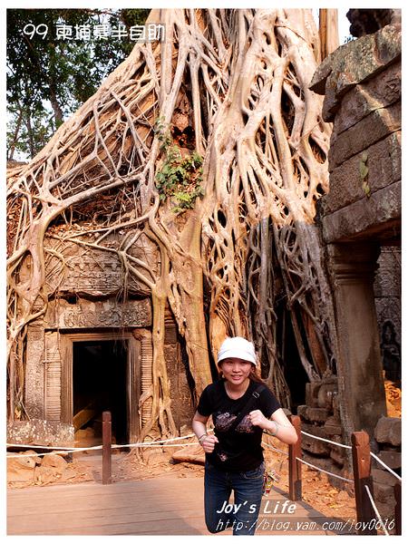 【Angkor】Ta Prohm 塔普倫寺 - nurseilife.cc